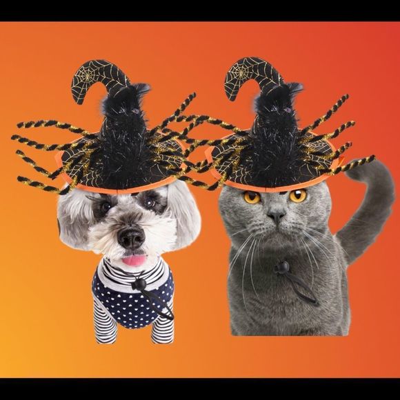 🎉HP🎉 🎃NWT, 1 Orange Witches’ Hat with Spider🎃 - Picture 1 of 2